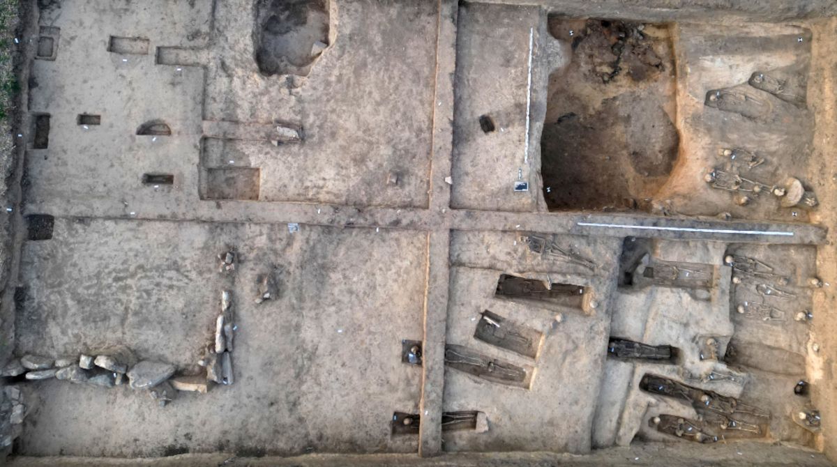 Luftaufnahme einer archäologischen Ausgrabungsstätte mit rechteckigen Grabungsflächen. Im Erdreich sind mehrere längliche, dunkle Strukturen zu erkennen, die auf freigelegte Gräber oder Holzbalken hindeuten. Einige Bereiche wirken tiefer ausgehoben, andere zeigen kleinere, rundliche Vertiefungen. Die Flächen sind durch schmale Erdwälle voneinander getrennt. Der Boden erscheint trocken und hellbraun.