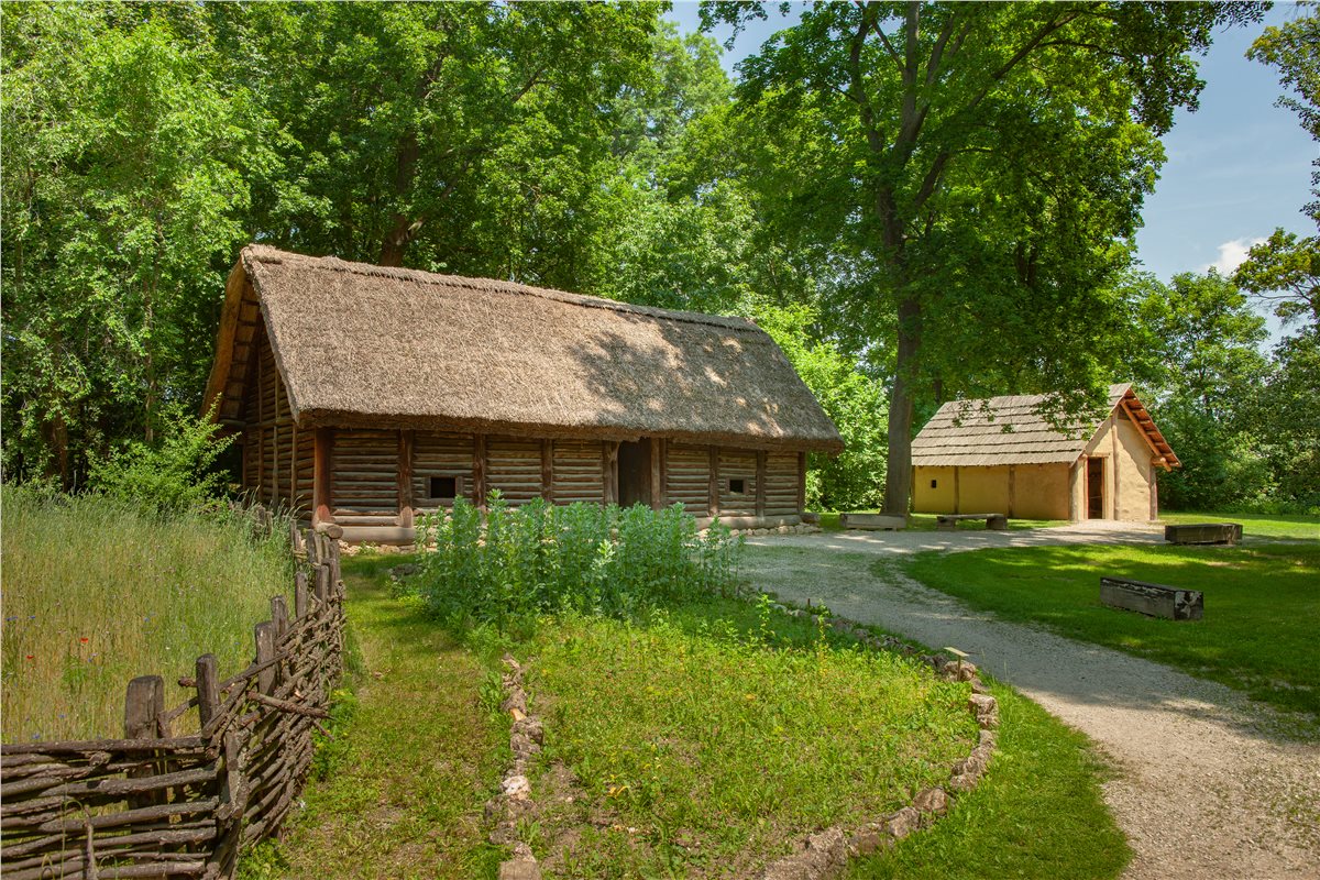 MAMUZ Schloss Asparn 