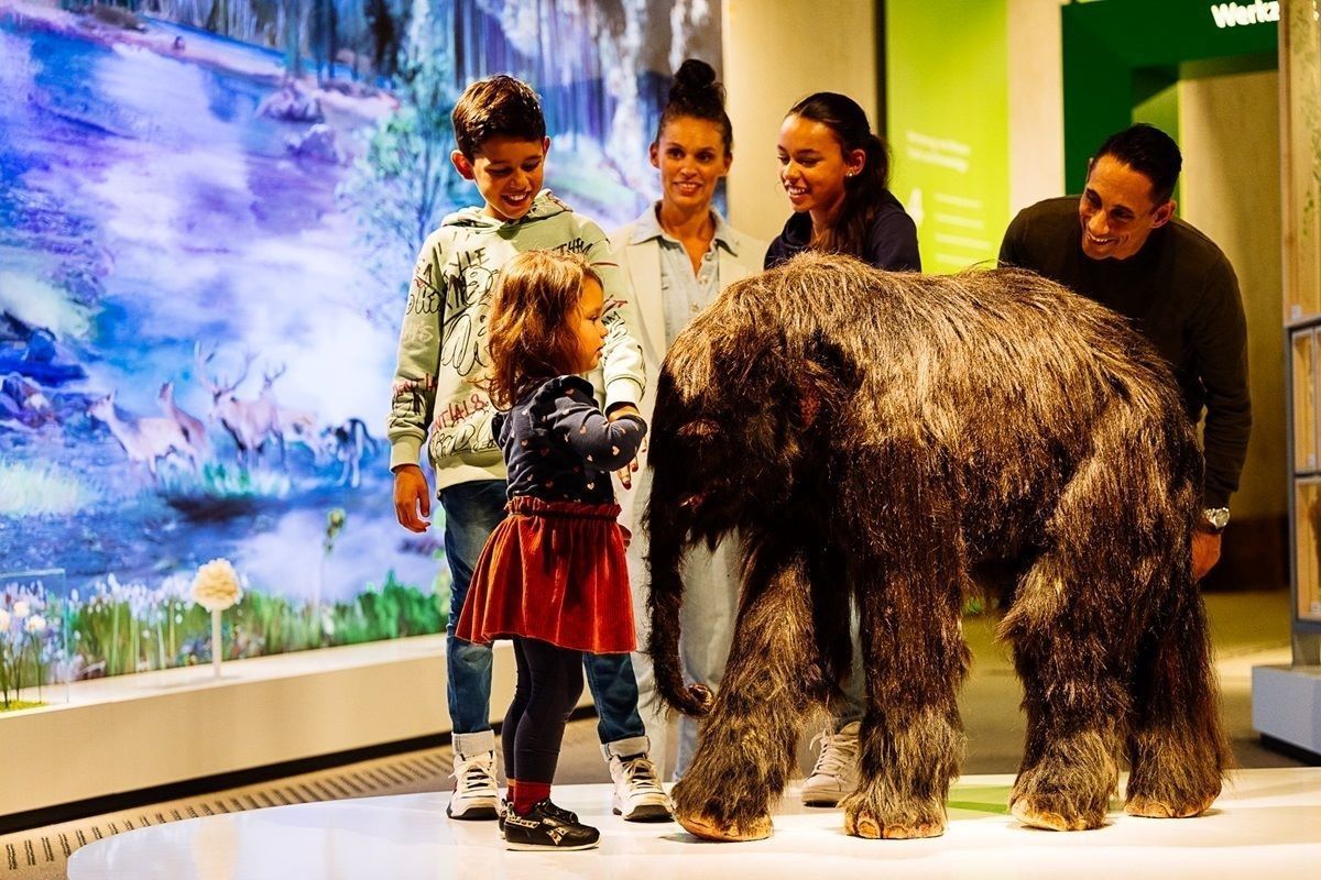 Mammut Neanderthal Museum