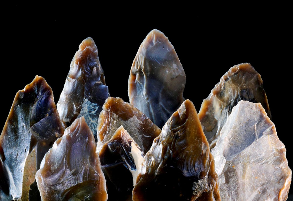 Neandertaler in Norddeutschland: Funde von Ochtmissen belegen Besiedlung während der Eiszeit