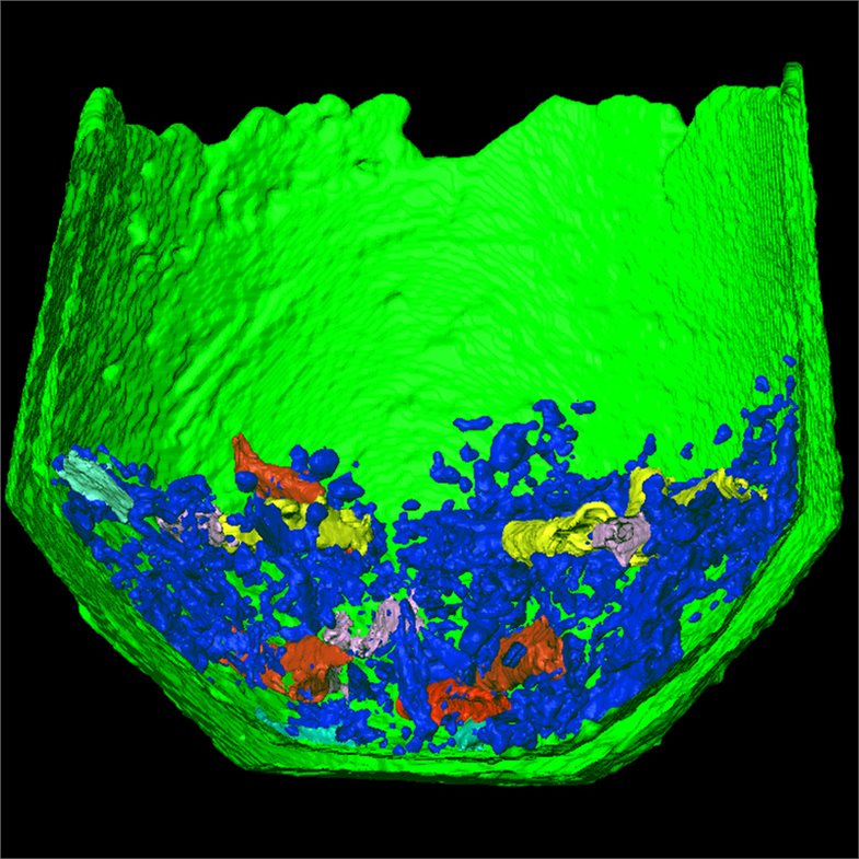 3D-Rekonstruktion spätbronzezeitlicher Urnen anhand von CT-Aufnahmen