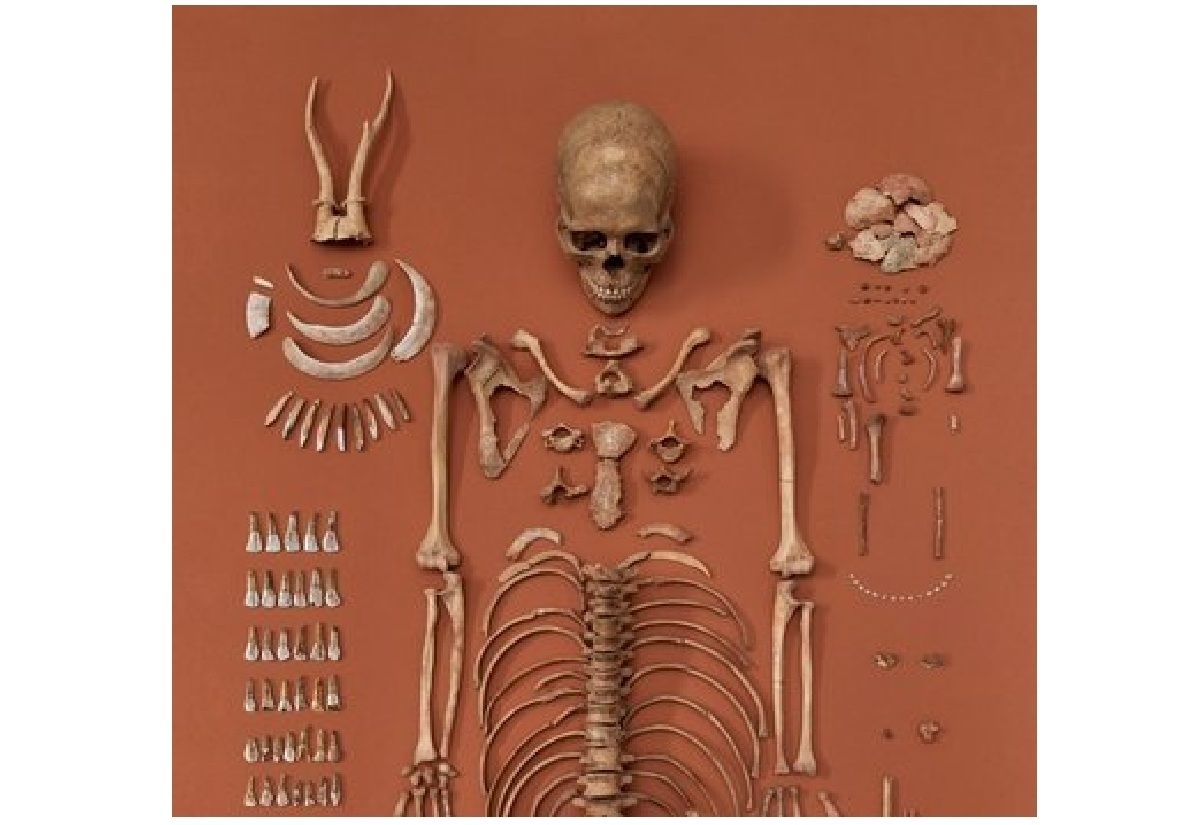 Neue Analysen belegen weitere Individuen im Grab der Schamanin von Bad Dürrenberg