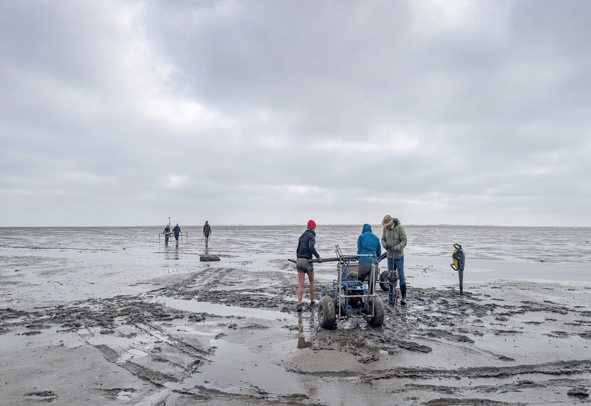 Mehrere Personen stehen und gehen auf einem weiten, schlammigen Watt mit Wasserpfützen unter bewölktem Himmel.