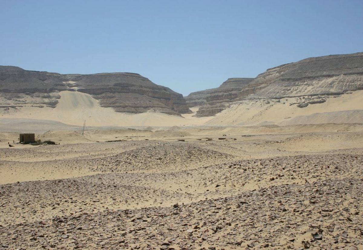 Neue Erkenntnisse aus alten Knochen: Hinweise auf Gefolgschaftsopfer im frühen Ägypten