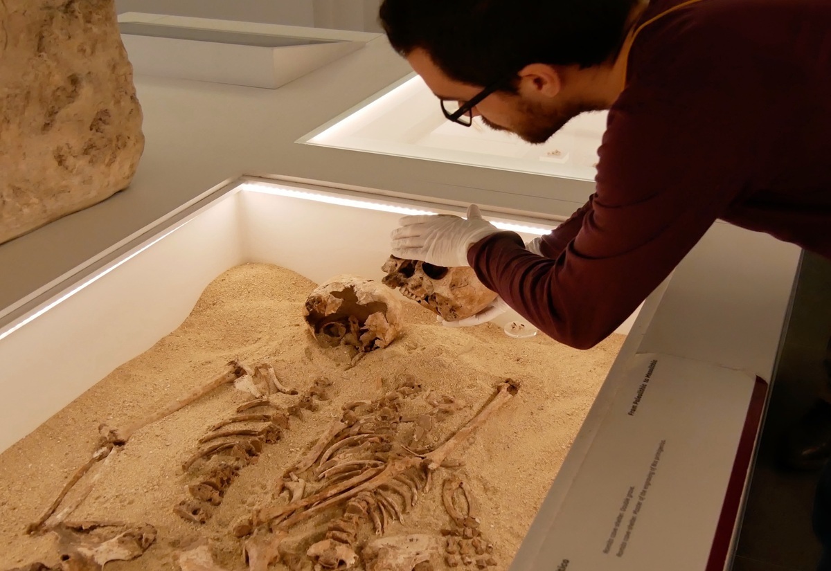 Ein menschliches Skelett liegt ausgestreckt in einer sandgefüllten Vitrine. Die Knochen sind vollständig sichtbar und wirken gut erhalten. Eine Person mit weißen Handschuhen berührt den Schädel des Skeletts. Die Szene ist von hellem Licht aus dem Vitrinenrand beleuchtet. Im Hintergrund sind weitere Ausstellungsstücke zu erkennen.