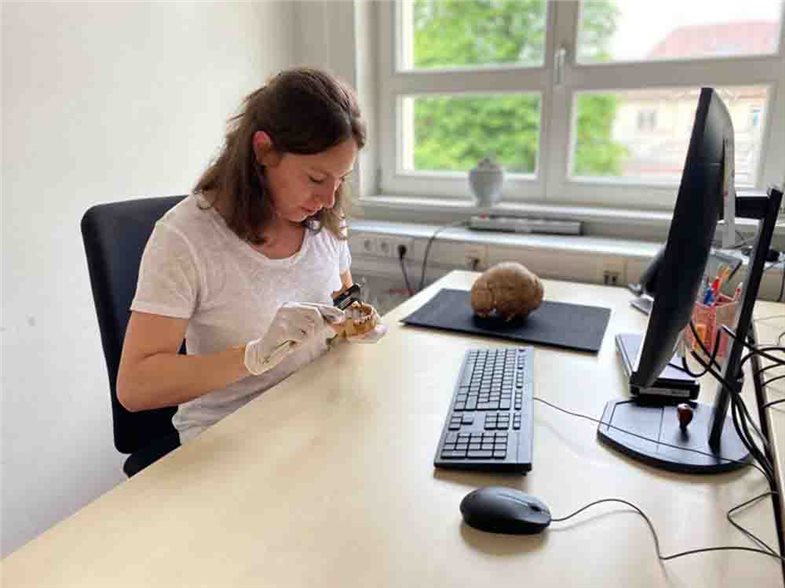 Stephanie Lismann, zweite Hauptautorin der Studie zur Populationsgeschichte des 3. bis 1. Jahrtausends v. Chr. in Südwestdeutschland, bei der Merkmalsaufnahme.