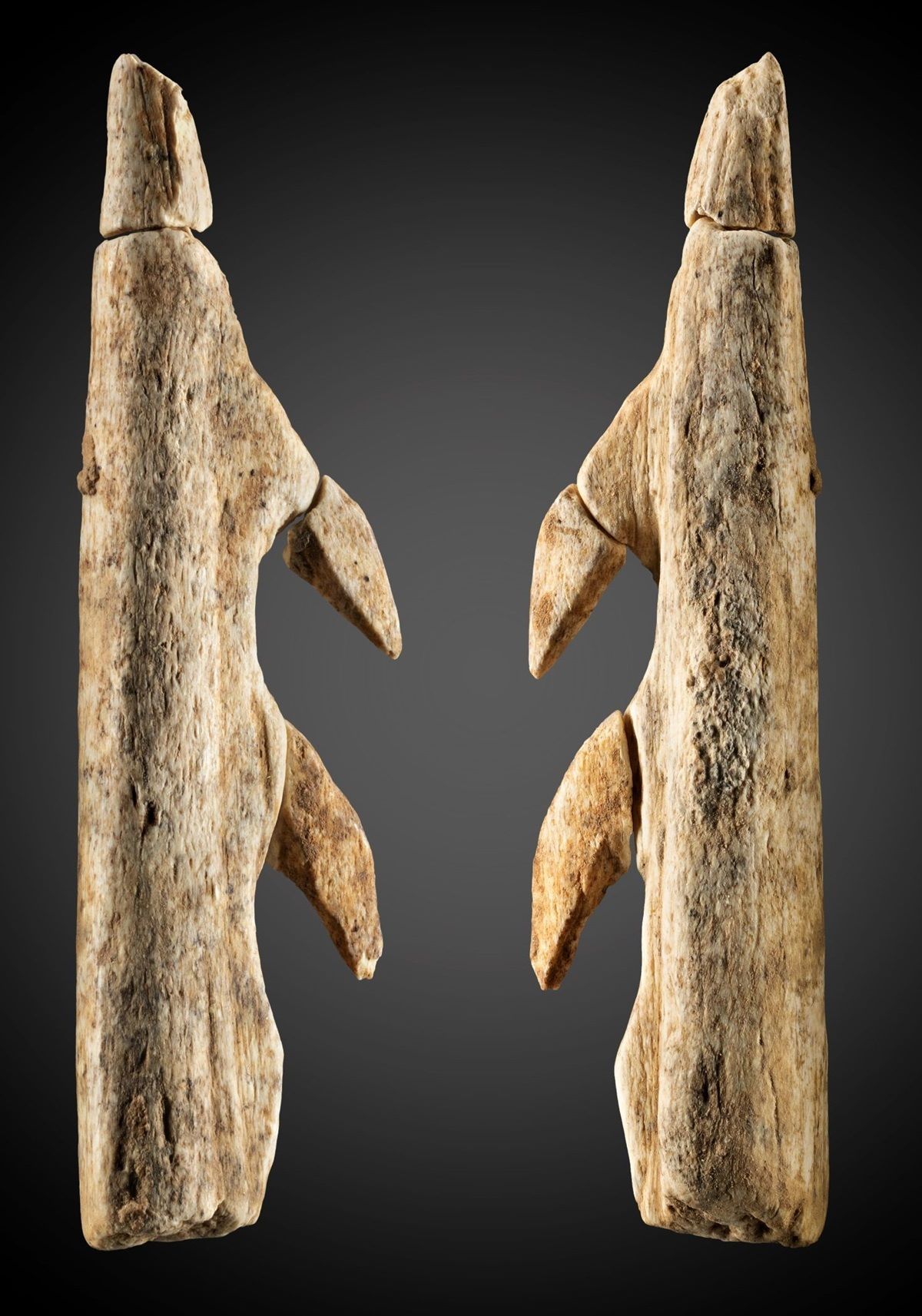 Ein überraschender Neufund: das Fragment einer Widerhakenspitze oder Harpune aus Knochen oder Geweih (Länge: 4,9 cm).