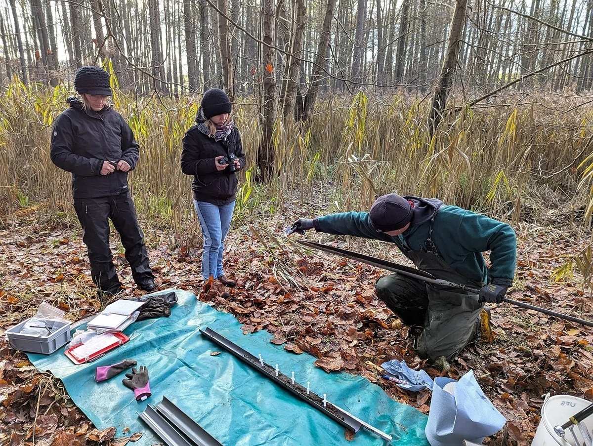 Im Vordergrund liegt eine türkisfarbene Plane auf dem Waldboden, darauf befinden sich verschiedene Ausrüstungsgegenstände wie eine Metallbox, ein Notizbuch, Handschuhe und längliche Metallrohre. Drei Personen tragen dunkle Outdoor-Kleidung und Mützen. Eine Person kniet und hält ein langes Metallrohr, während die anderen stehen und zuschauen. Im Hintergrund stehen hohe Gräser und Bäume ohne Laub.
