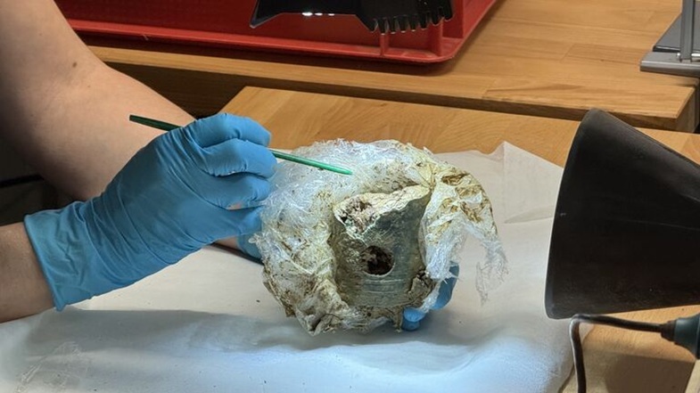 Hand mit blauen Handschuhen hält einen Pinsel und bearbeitet vorsichtig ein Fundstück aus Metall