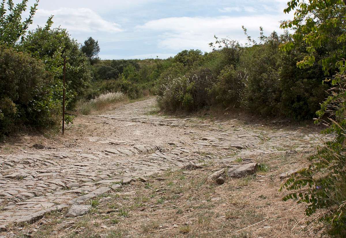 Unbefestigter, leicht geschwungener Weg mit unregelmäßigen Steinen, umgeben von dichtem Grün und Büschen unter bewölktem Himmel