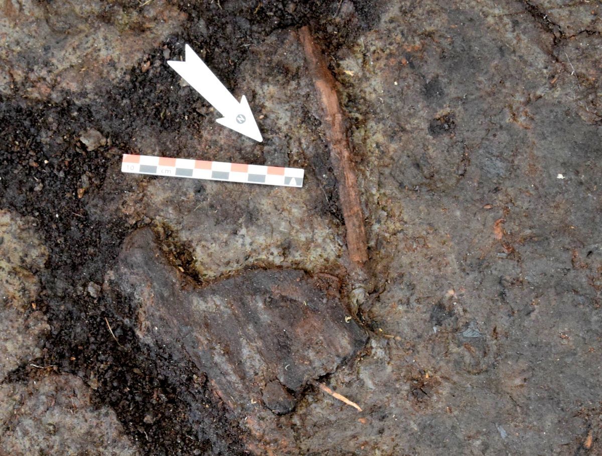 Fundstelle des Paddelfragments.