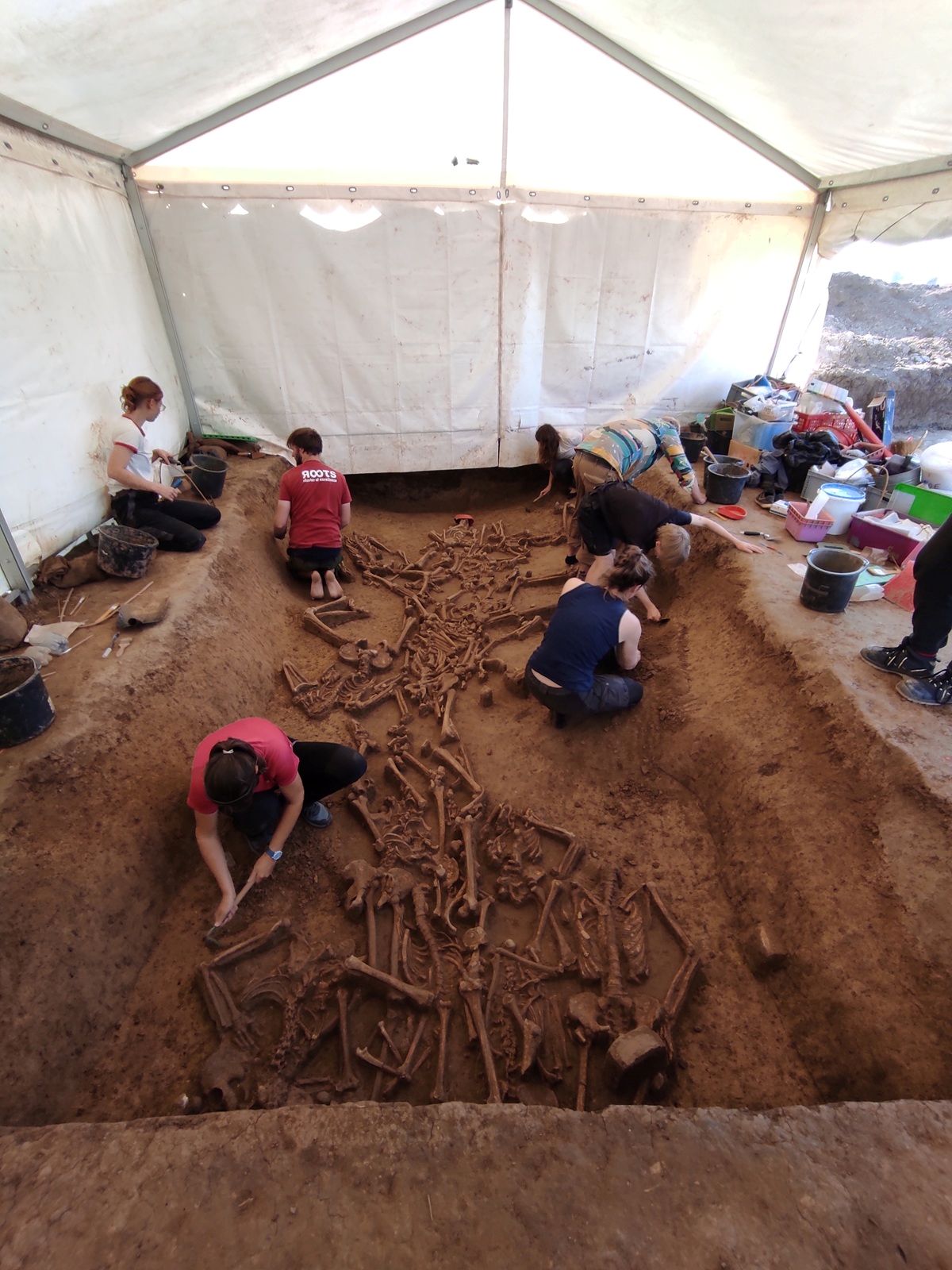Archäologen graben in einem Zelt an verschiedenen, teilweise freigelegten Skeletten im Boden
