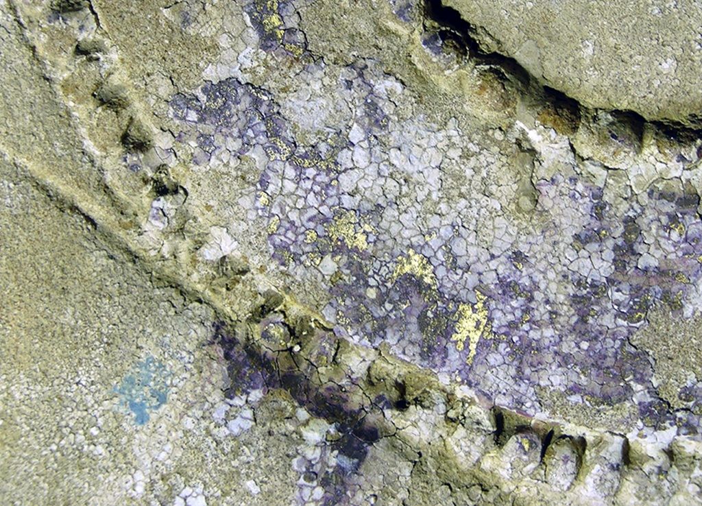 Reste von Gold am Kragen des Königs.