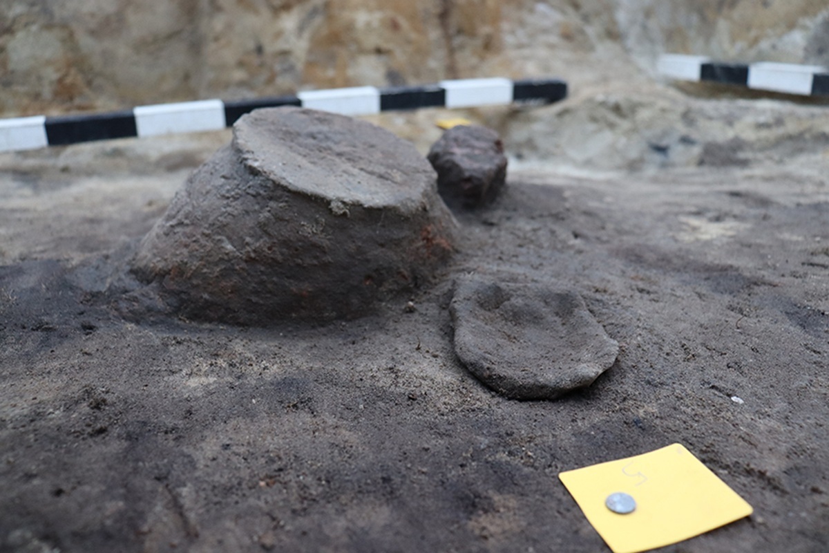 Drei teilweise freigelegte, erdige Tongefäßfragmente in einer archäologischen Ausgrabungsstätte mit Maßstab im Hintergrund.