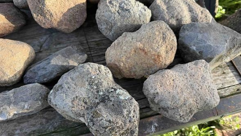 Mehrere unregelmäßig geformte Steine mit unterschiedlichen Grautönen liegen auf einer hölzernen Oberfläche. Einige Steine zeigen raue, poröse Strukturen und helle Flecken. Im Hintergrund ist etwas grüne Vegetation zu erkennen.