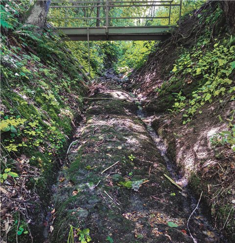 Von der antiken Allgäustraße zeugen Radspuren.