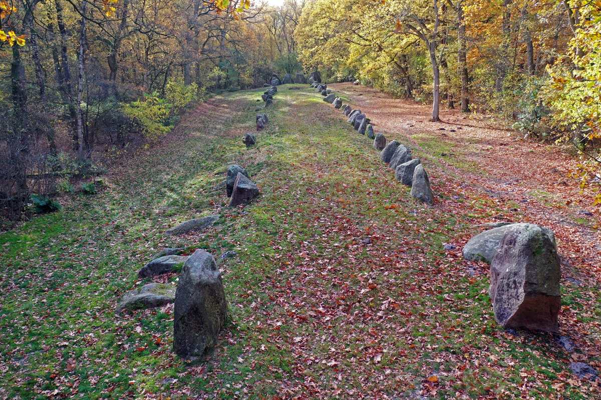 Eine lange Reihe großer, unregelmäßig geformter Steine verläuft durch eine von Bäumen gesäumte Lichtung. Das Laub auf dem Boden ist herbstlich gefärbt, die Bäume tragen gelbe und grüne Blätter. Die Steine sind teilweise von Moos bedeckt und liegen in einer geraden Linie, die sich durch das Bild zieht.
