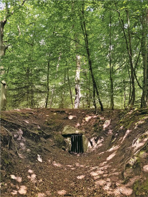 Großsteingrab der Trichterbecherkultur am Vorgeschichtspfad Flögeln.