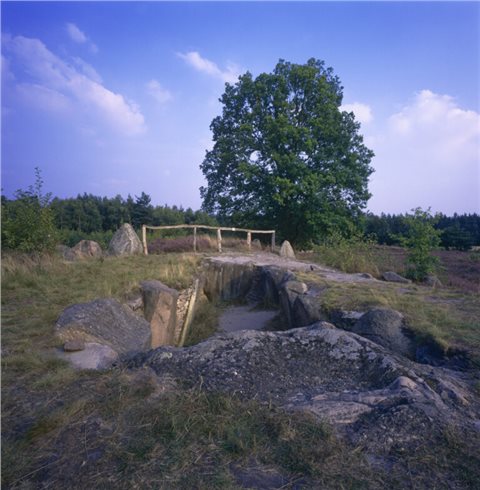 Blick auf die Grabkammer des Hünenbett IV aus der Zeit der späten Jungsteinzeit in der Oldendorfer Totenstatt.
