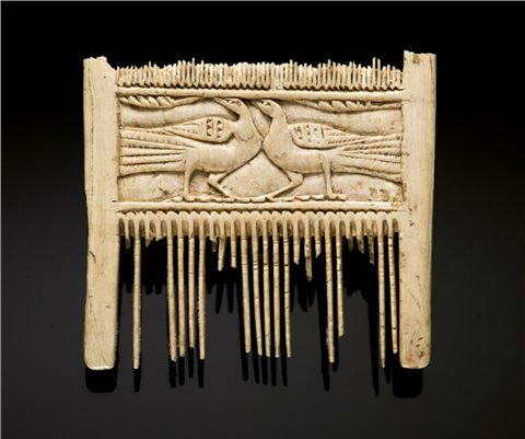 Doppelkamm aus Elefantenelfenbein aus der Holsterburg-Grabung.