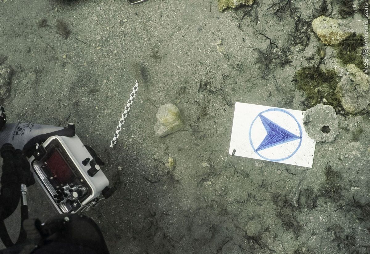 Spur der Elgin-Marbles: Im Wrack der MENTOR entdecktes Marmorelement könnte vom Parthenon stammen