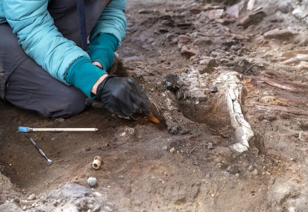 Tod im Backhaus: Tierische Opfer in Pompeji geben Einblick in die letzten Stunden vor dem Ausbruch