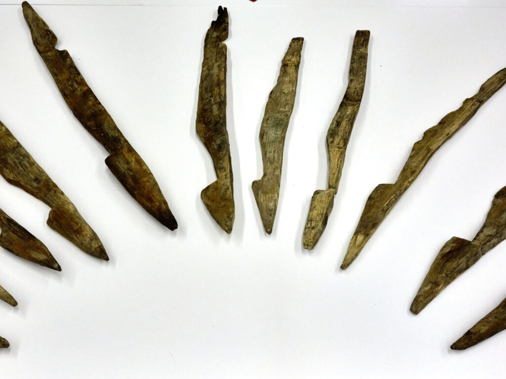 Holzspieße als Holzfalle der Römer
