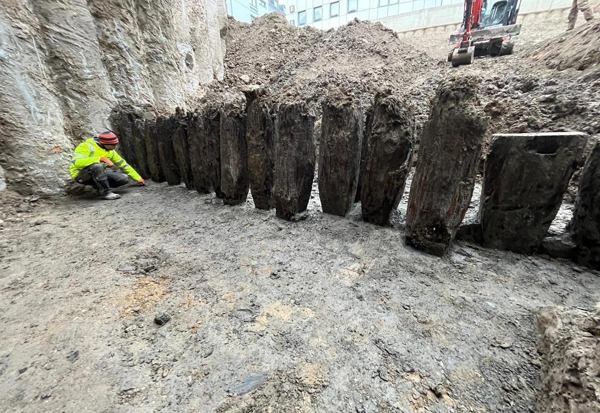 Archäologe in Warnweste kniet neben einer Reihe großer, senkrecht stehender Holzpfähle in einer Ausgrabungsstätte