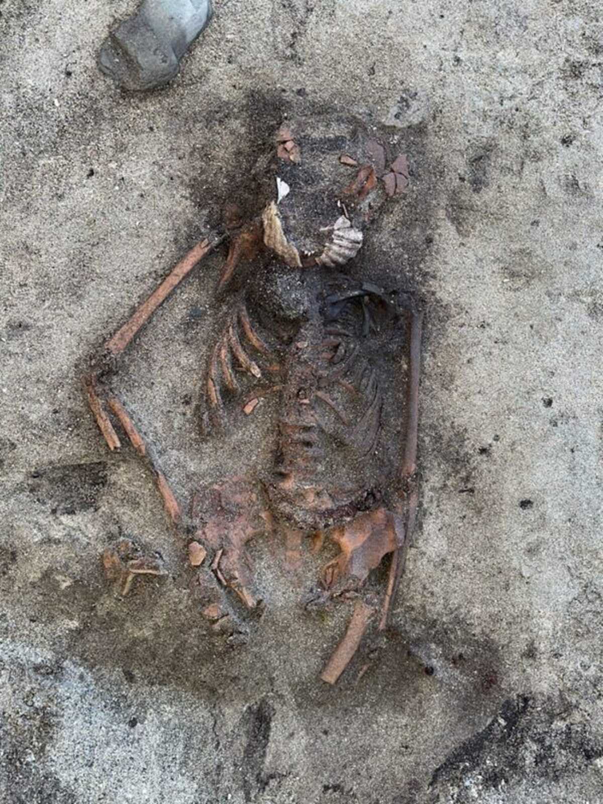 Skelett in sandigem Boden, im Schädelbereich liegen die Schalen einer Jakobsmuschel