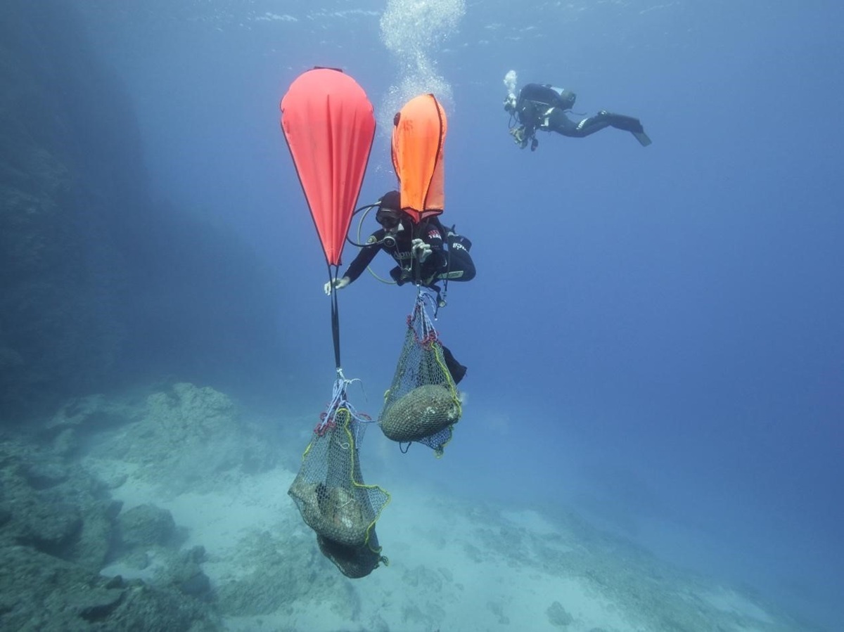 Zwei Taucher bewegen sich unter Wasser über einem felsigen Meeresboden. Einer der Taucher hält zwei große, orangefarbene Hebesäcke, an denen jeweils ein Netz mit Steinen oder archäologischen Funden befestigt ist. Der zweite Taucher schwebt etwas entfernt im Hintergrund und beobachtet die Szene. Das Wasser ist klar und blau, die Sichtweite ist hoch.
