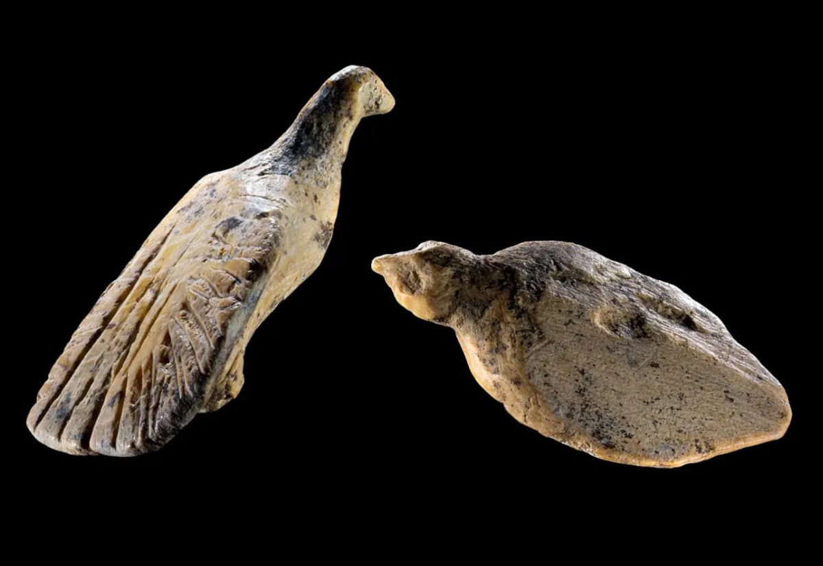 Zwei neue Vogelfiguren aus dem Hohle Fels erweitern das Spektrum eiszeitlicher Kunst