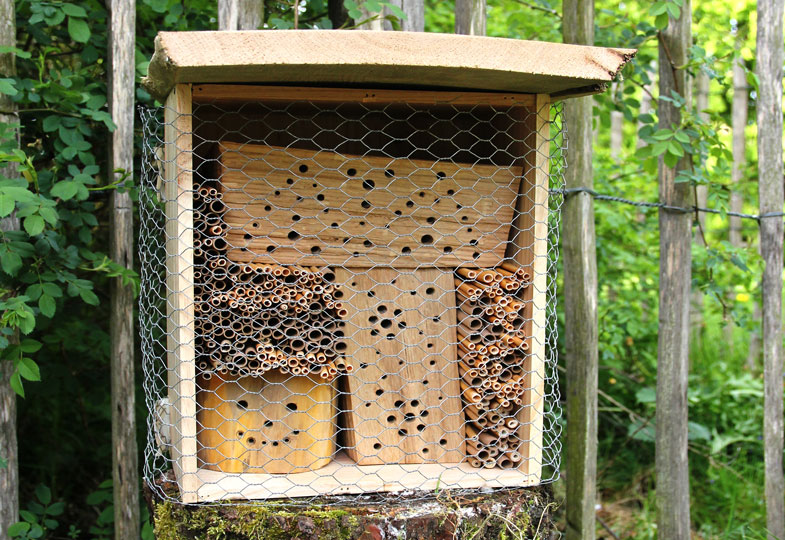 Der Bau eines Wildbienenhotels ist ein schönes Bastelprojekt für die ganze Familie.
