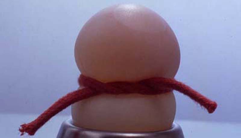 Essig macht Eier elastisch: Gummi-Ei 2