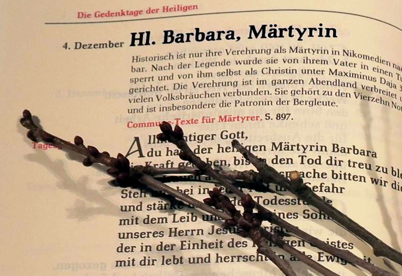 Barbarazweige liegen auf dem Messformular der Heiligen am 4. Dezember