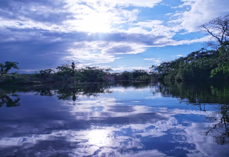 Amazonassynode: Aus der Traum